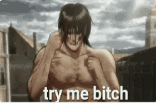 Attack On Titan Try Me GIF - Attack On Titan Try Me Eren GIFs