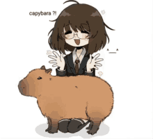 Capybara Coconut Doggy GIF - Capybara Coconut Doggy Oh My Gosh GIFs
