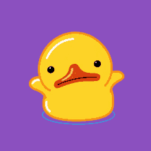 duck wiem