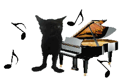 piano-cat.gif