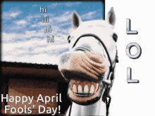 April Fools Day GIF - April Fools Day GIFs