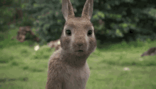 Frown Mad GIF - Frown Mad Angry GIFs