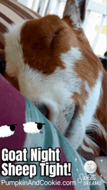 Sleepy Goat Gifs Tenor