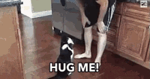 Hug Me GIF - Cat Hug Me Hug Your Cat Day GIFs