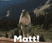 Matt Btb GIF - Matt Btb Matt GIFs