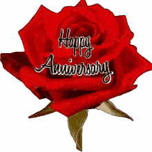 happy anniversary rose heart rose hearts red rose