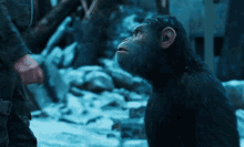 Planet Of The Apes Caesar GIF - Planet Of The Apes Caesar Gun GIFs