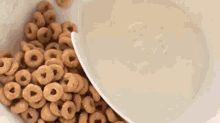 Cereal Cheerios GIF - Cereal Cheerios Breakfast GIFs