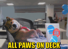 All Paws On Deck Dog Laptop Meme GIF - All Paws On Deck Dog Laptop Meme Dog On Laptop GIFs