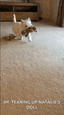 puppy love teddy bear fetch play