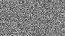 white noise white noise