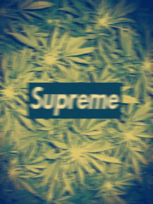 Supreme  GIF - Drugs Marijuana Green GIFs