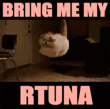 Bring Me GIFs | Tenor