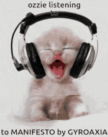 Ozzie Ozzie Memuaic GIF - Ozzie Ozzie Memuaic Kitten GIFs