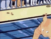 Cat Anime GIF - Cat Anime Wrestling GIFs
