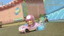 Mario Kart Furry GIF - Mario Kart Furry Mushroom GIFs