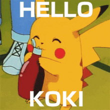 Koki Hello Koki GIF - Koki Hello Koki Koki My Friend GIFs