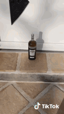 friendship alcoholic tons of alcohol stairs friendship alcoholic tons of alcohol stairs