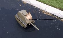 Chihuahua Tank GIF - Tank Dogs Dog Tank GIFs