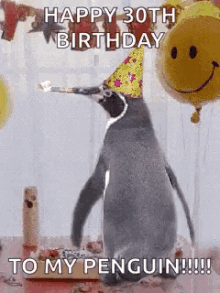 Penguin Happy Birthday GIF - Penguin Happy Birthday Celebrate GIFs