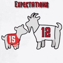 Goat Super Bowl GIF - Goat Super Bowl Chiefs GIFs