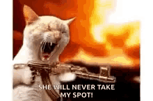Cat Gun GIF - Cat Gun Never GIFs