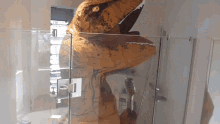 lucylovescats dino dinosaur trex inflatabledinosaur