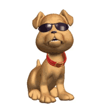 cool dog nod swag bow wow cool dog nod swag bow wow