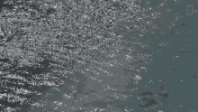 Waves What Happens If Your Town Runs Out Of Water GIF - Waves What Happens If Your Town Runs Out Of Water Blue Water GIFs