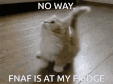Fnaf Fridge GIF - Fnaf Fridge Cat GIFs