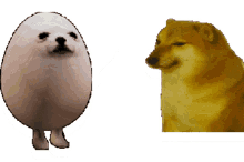 eggdog cheems wack bonk eggdog cheems wack bonk
