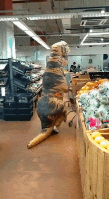Dinosaur Shopping Grocery Trex GIF - Dinosaur Shopping Grocery Trex Grocery Dino GIFs