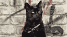Salem Nails GIF - Salem Nails Cat GIFs