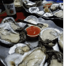 New Orleans Oysters GIF - New Orleans Oysters Food GIFs