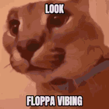 Floppa Vibing Big Floppa Vibing GIF - Floppa Vibing Big Floppa Vibing GIFs
