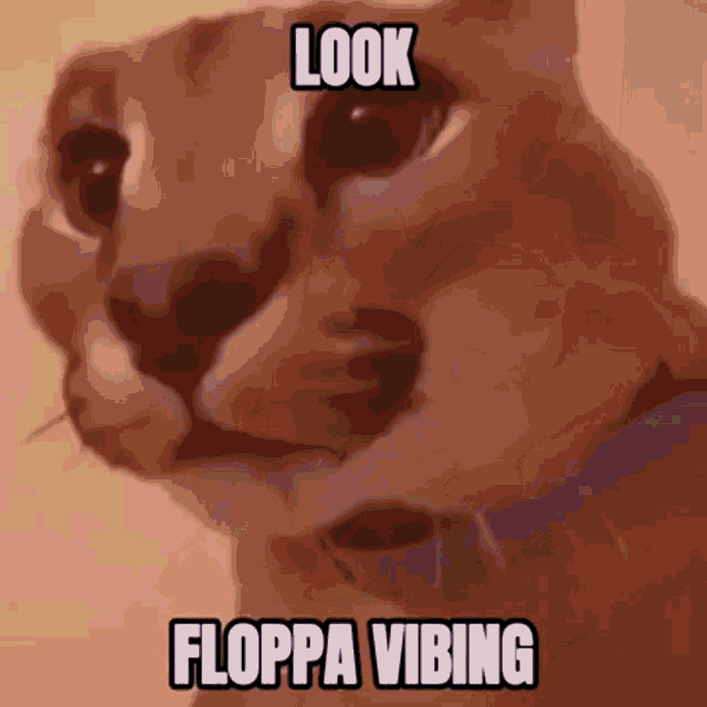 Floppa Vibing Big Floppa Vibing GIF - Floppa Vibing Big Floppa Vibing GIFs