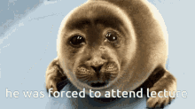 He Was Forced To He Was Forced To Attend Lecture GIF - He Was Forced To He Was Forced To Attend Lecture Sad Seal GIFs