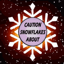 Caution Snowflakes About Beware Snowflakes GIF - Caution Snowflakes About Beware Snowflakes Snowflake GIFs