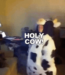 Holy Cow GIF - Holy Cow GIFs