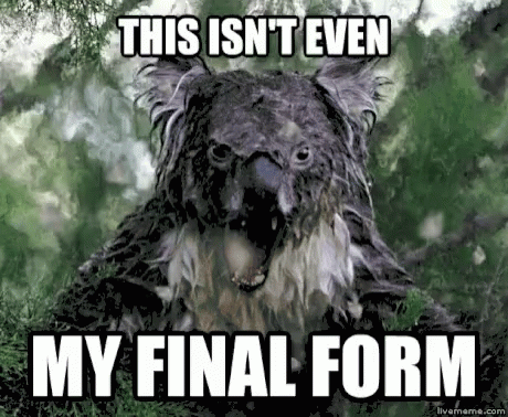 Koala Finalform GIF - Koala Finalform Scary GIFs