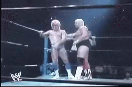 ricflair-ric.gif