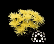 test impexflowerstest