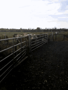 Country GIF - Country GIFs