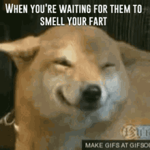 funny farts