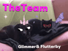 the team glimmer flutterby the team glimmer flutterby