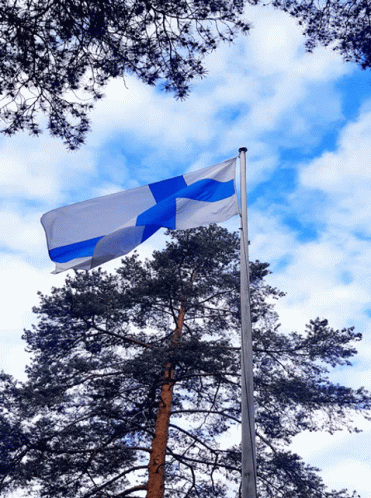 finnish-flag-finland.gif