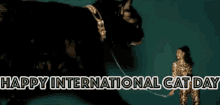 Cat Day International Cat Day GIF - Cat Day International Cat Day Beyonce GIFs