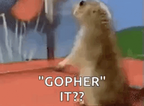 Gopher Shocked GIF - Gopher Shocked Gopher It GIFs