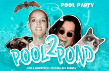 party domani