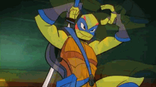 turtle ninja leo turtle ninja leo
